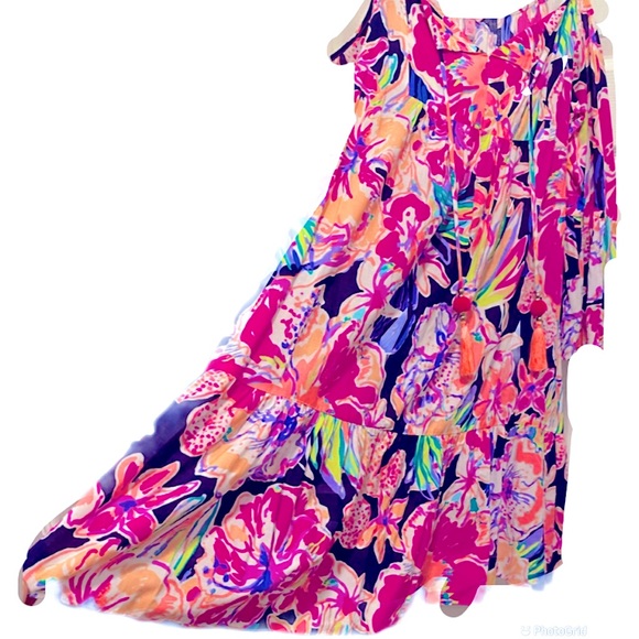 🌸🌸SOLD🌸🌸. Lilly Pulitzer • Alanna Dress • M - Picture 10 of 15